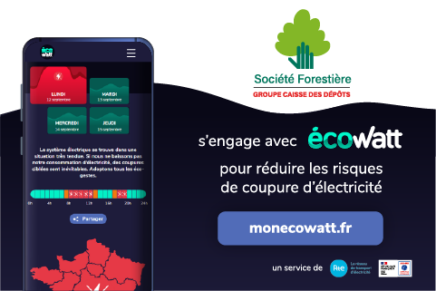 Véritable météo de l’électricité, Ecowatt qualifie en temps réel le niveau de consommation des Français.