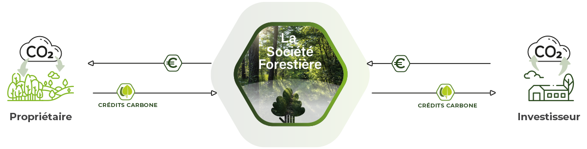 La Société Forestière met en relation des propriétaires forestiers et des investisseurs