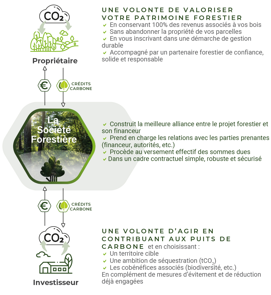 La Société Forestière met en relation des propriétaires forestiers et des investisseurs