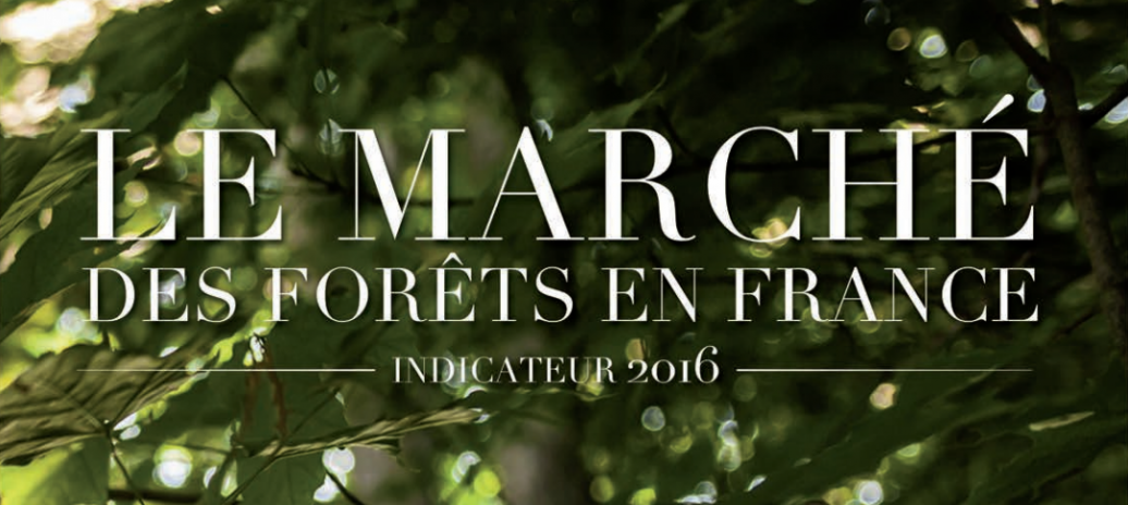 Le marché des forêts 2016 Le marché des forêts 2016 : chiffres clés, structure du marché, acteurs, cartographies, 40 pages, illustrations