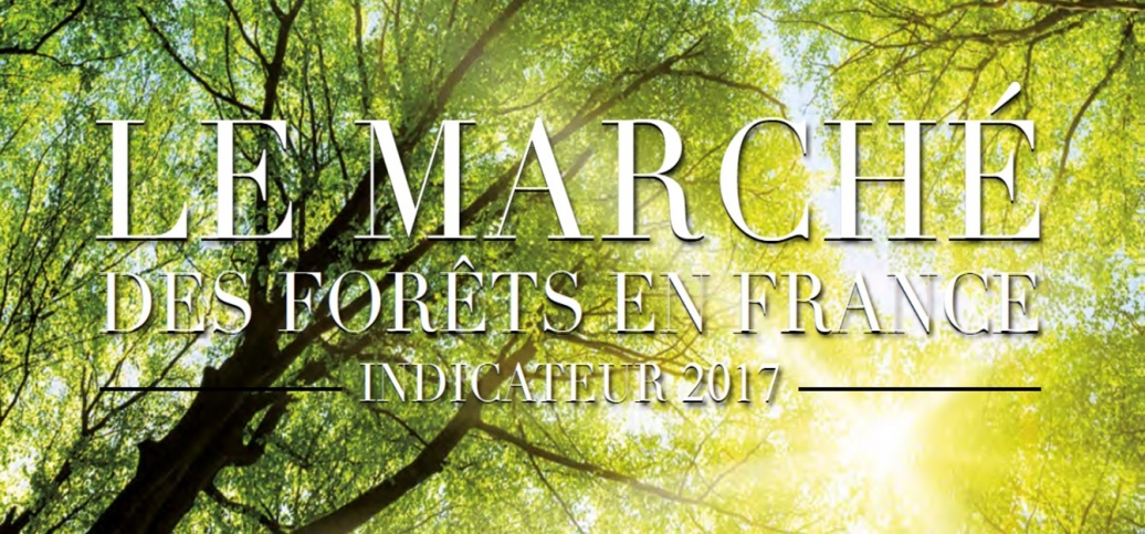 Parution de l'Indicateur 2017 du marché des forêts en France: Le marché des forêts continue sa progression Parution de l'Indicateur 2017 du marché des forêts en France: Le marché des forêts continue sa progression