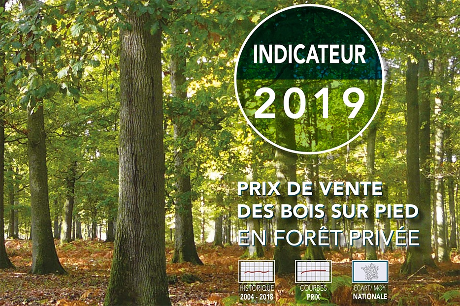INDICE DES PRIX DES BOIS SUR PIED EN FORÊT PRIVÉE 2019 INDICE DES PRIX DES BOIS SUR PIED EN FORÊT PRIVÉE 2019