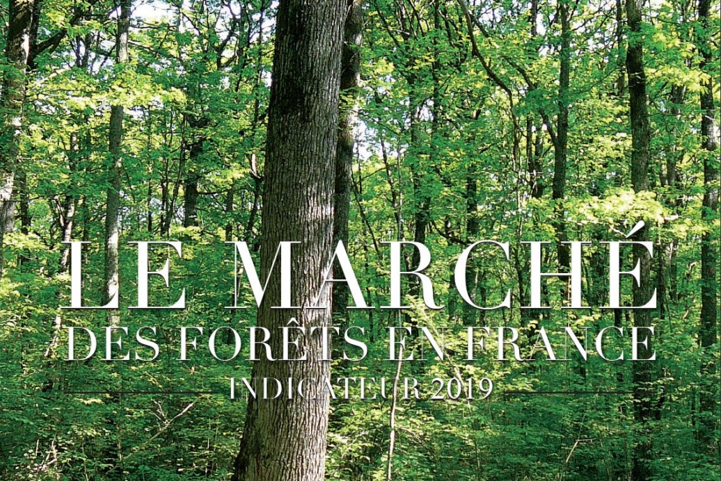 LE MARCHÉ DES FORÊTS EN FRANCE INDICATEUR 2019 LE MARCHÉ DES FORÊTS EN FRANCE INDICATEUR 2019