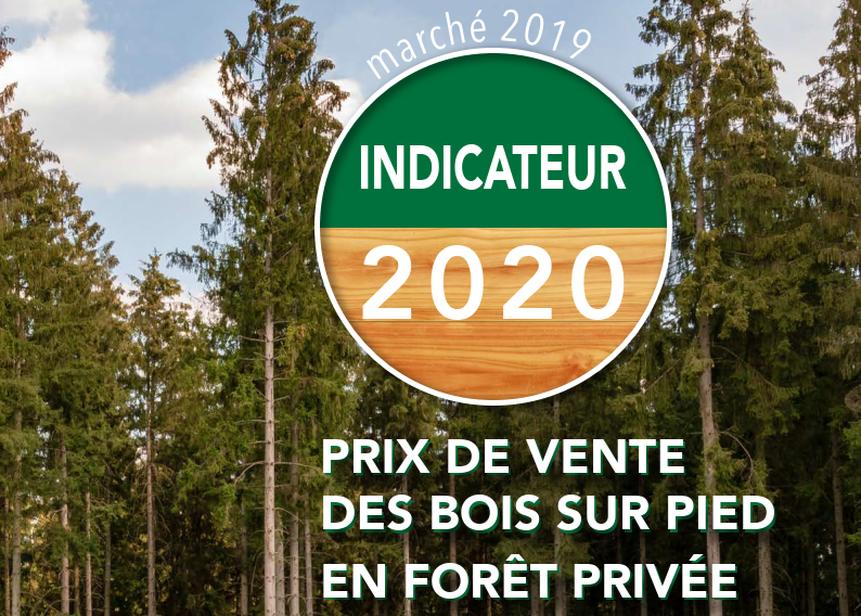 Indicateur 2020 des prix des bois sur pied en forêt privée