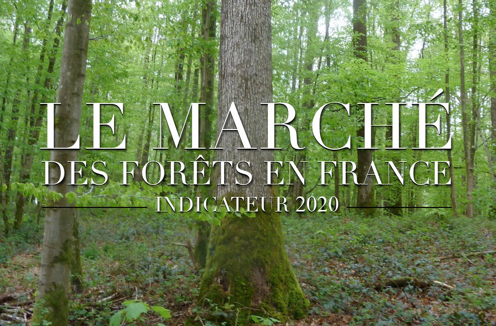 INDICATEUR MARCHE DES FORETS EN FRANCE 2020