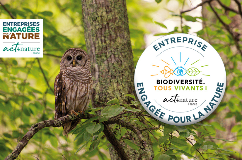La Société Forestière, une entreprise engagée ! La Société Forestière devient une société engagée pour la nature