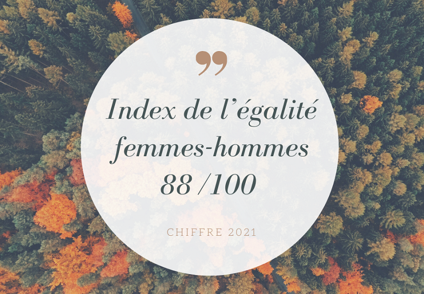 Egalité HF chiffre 2021