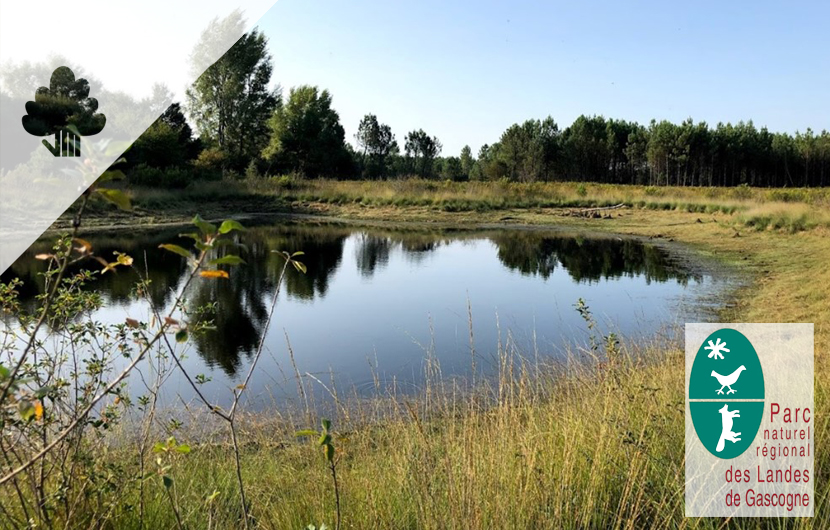 Parc naturel des Landes de Gascogne Parc naturel des Landes de Gascogne