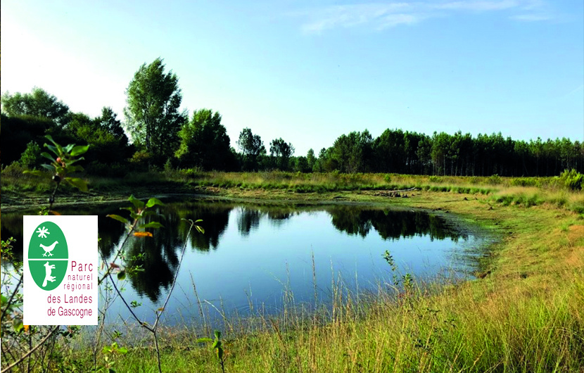 Parc naturel des Landes de Gascogne