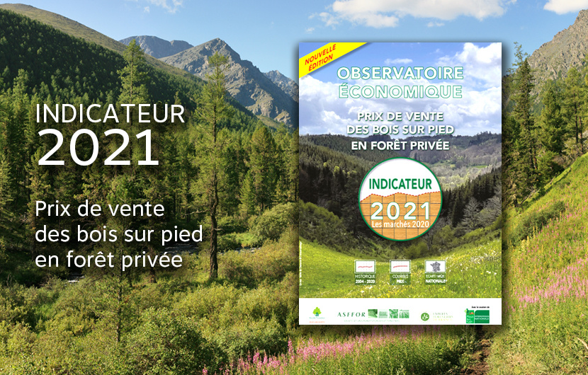 Indicateur 2021 du prix des bois sur pied en forêt privée L’édition 2021 de l’Indicateur du prix de vente des bois sur pied en forêt privée est en ligne !