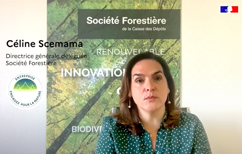 Engagée pour la nature! | Intervew de Céline Scemama