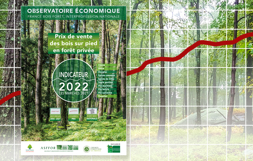 L'indicateur 2022 du prix des bois sur pied en forêt privée vient de paraître !