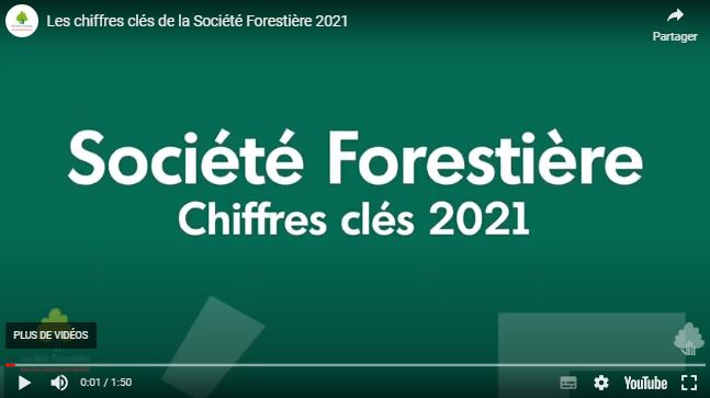 CHIFFRES CLES 2021 : Une belle année pour la Société Forestière !