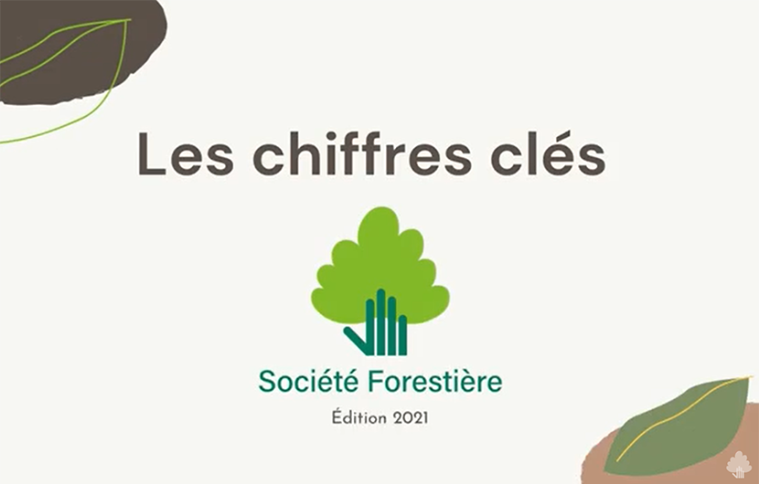 Les chiffres clés 2021