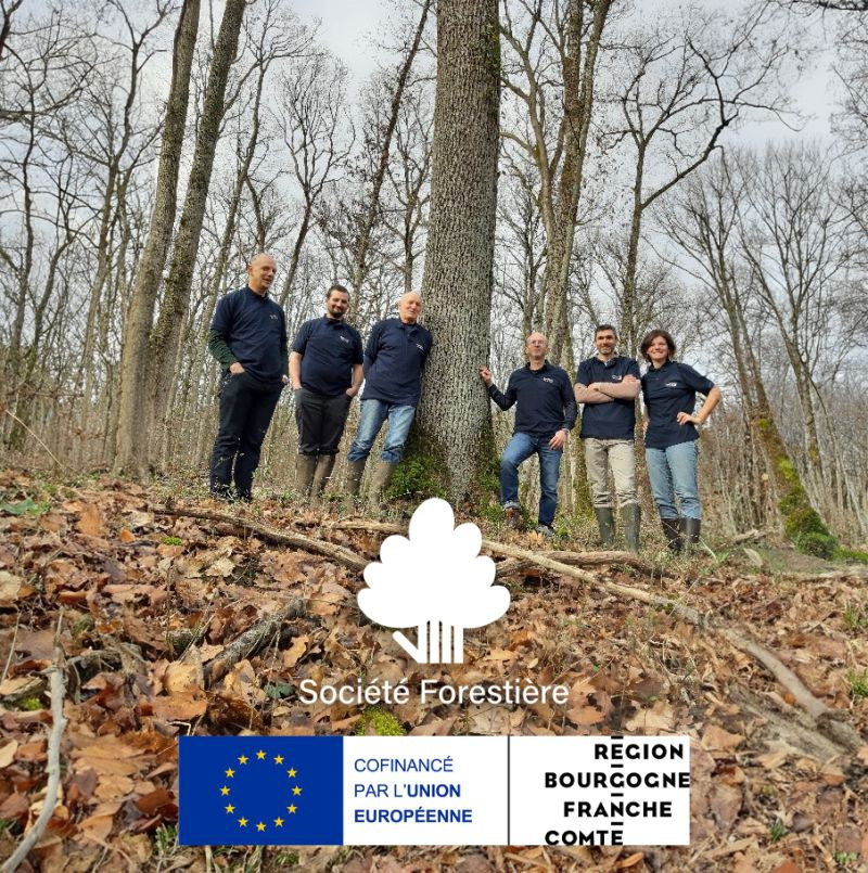 ROBOIS : l’intelligence collective au service de la filière forêt-bois 