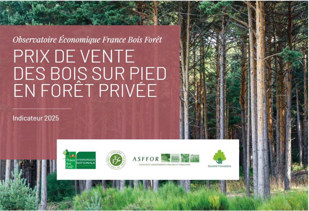 Indicateur du prix des bois sur pied en forêt privée – Édition 2025
