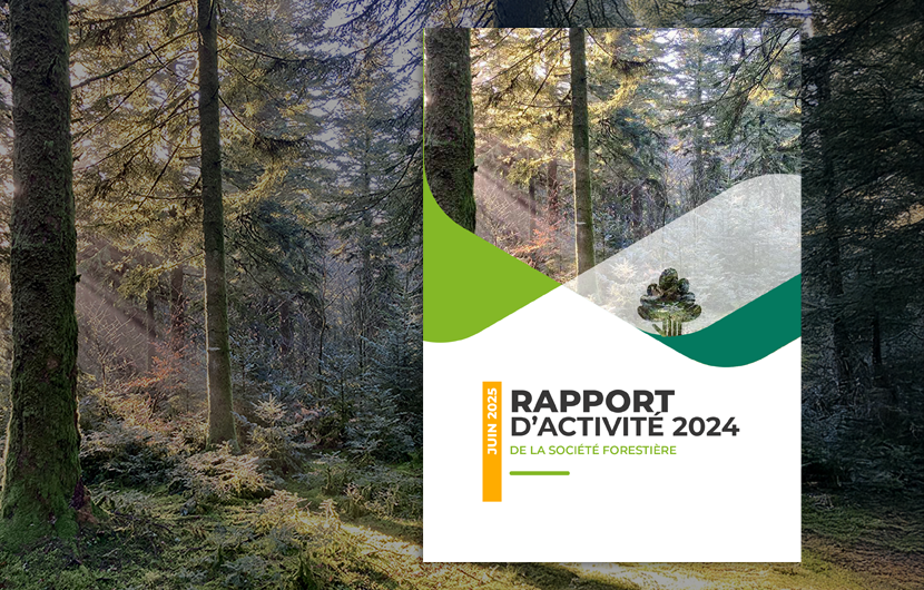 Découvrez tout ce qu’il s’est passé à la Société Forestière en 2024 ! Découvrez tout ce qu’il s’est passé à la Société Forestière en 2024 !