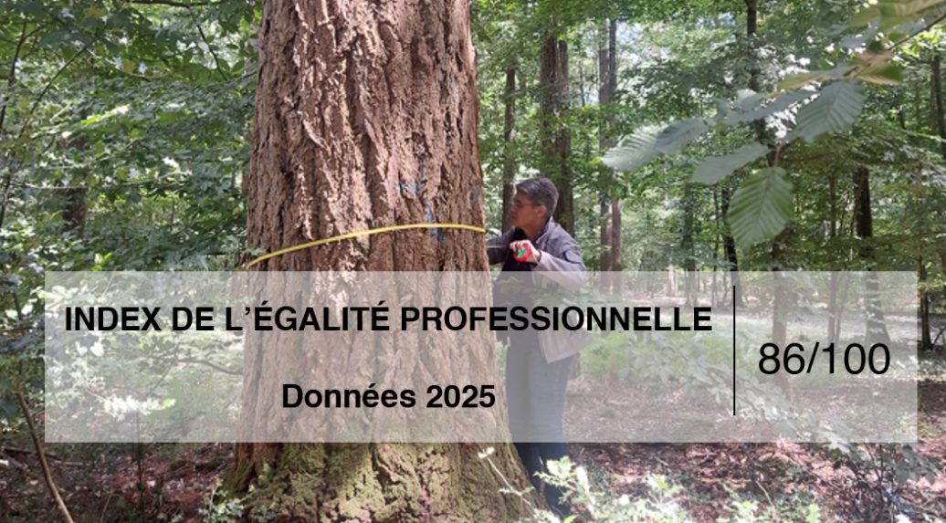L’index de l’égalité professionnelle 2026