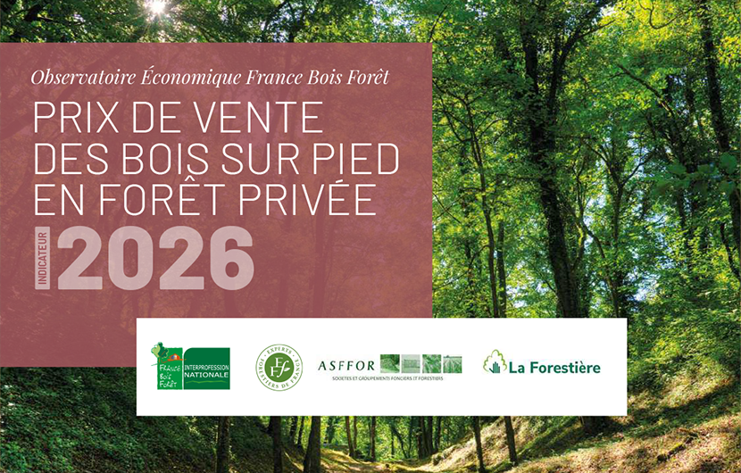 Indicateur du prix des bois sur pied en forêt privée – Édition 2025