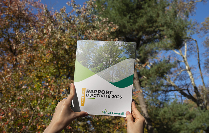 Découvrez le rapport annuel La Forestière 2025 !