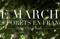 Le marché des forêts 2016 Le marché des forêts 2016 : chiffres clés, structure du marché, acteurs, cartographies, 40 pages, illustrations