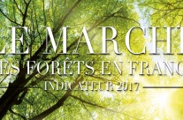 Parution de l'Indicateur 2017 du marché des forêts en France: Le marché des forêts continue sa progression Parution de l'Indicateur 2017 du marché des forêts en France: Le marché des forêts continue sa progression