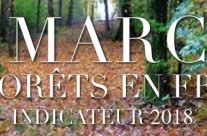Indicateur du Marché de la Forêt en France 2018 Indicateur du Marché de la Forêt en France 2018