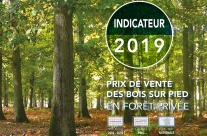 INDICE DES PRIX DES BOIS SUR PIED EN FORÊT PRIVÉE 2019 INDICE DES PRIX DES BOIS SUR PIED EN FORÊT PRIVÉE 2019