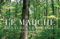 LE MARCHÉ DES FORÊTS EN FRANCE INDICATEUR 2019 LE MARCHÉ DES FORÊTS EN FRANCE INDICATEUR 2019