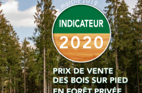 Indicateur 2020 des prix des bois sur pied en forêt privée
