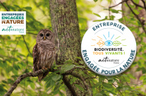 La Société Forestière, une entreprise engagée ! La Société Forestière devient une société engagée pour la nature