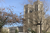 La Société Forestière participe à la reconstruction de la charpente de Notre Dame