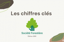 Les chiffres clés 2021