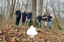 ROBOIS : l’intelligence collective au service de la filière forêt-bois 