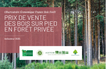 Indicateur du prix des bois sur pied en forêt privée – Édition 2025