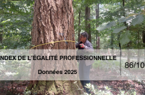 L’index de l’égalité professionnelle 2026