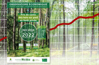L'indicateur 2022 du prix des bois sur pied en forêt privée vient de paraître !