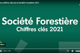 CHIFFRES CLES 2021 : Une belle année pour la Société Forestière !