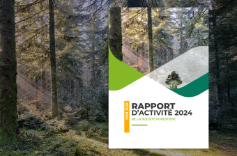 Découvrez tout ce qu’il s’est passé à la Société Forestière en 2024 ! 