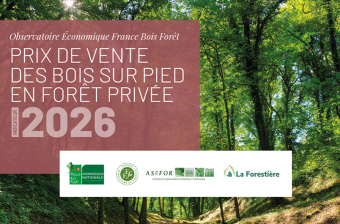 Indicateur du prix des bois sur pied en forêt privée – Édition 2025