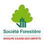 Société Forestière