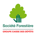 Société Forestière